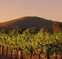 Taltarni Vineyards - Accommodation Gladstone