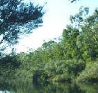 Crawford River Regional Park - Accommodation Gladstone