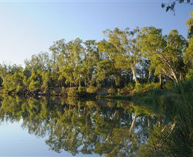 IWaterSki - Accommodation Gladstone 0