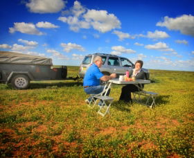 Long Paddock - Cobb Highway Touring Route - Accommodation Gladstone 0