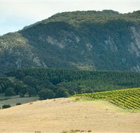 Langi Ghiran State Park - Accommodation Gladstone