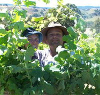 Wimmera Hills Winery - Accommodation Gladstone