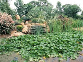 Mackenzie Park - Accommodation Gladstone 0