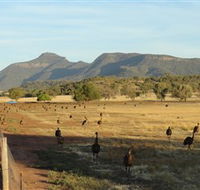 Emu Logic - Accommodation Gladstone