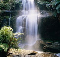 Mount Buangor State Park - Accommodation Gladstone