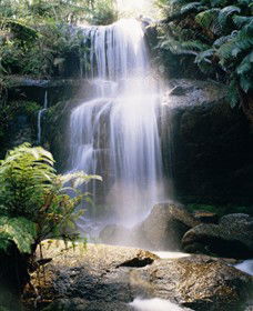 Mount Buangor State Park - Accommodation Gladstone 0