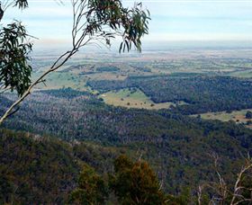 Mount Buangor State Park - Accommodation Gladstone 2