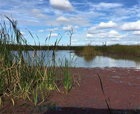 Gwydir Wetlands - Accommodation Gladstone 0