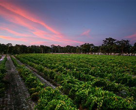 Amherst Winery - Accommodation Gladstone 0
