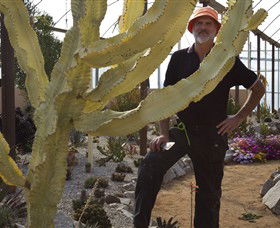 Cactus Country - Accommodation Gladstone 0