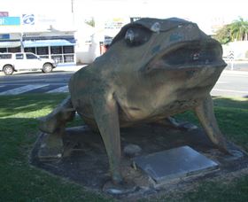 Big Cane Toad - Accommodation Gladstone 0