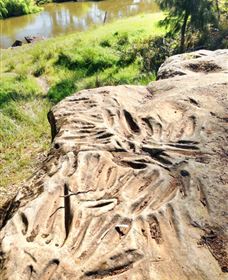 Terramungamine Rock Grooves - Accommodation Gladstone 0