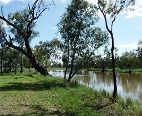 Seplin Estate Wines - Accommodation Gladstone 1