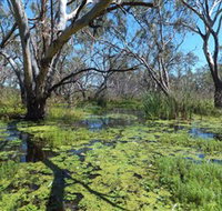 Macquarie Valley Trails - Accommodation Gladstone