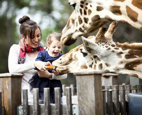 Taronga Western Plains Zoo, Dubbo - Accommodation Gladstone 0