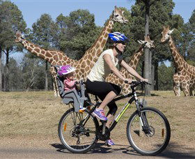 Taronga Western Plains Zoo, Dubbo - Accommodation Gladstone 2