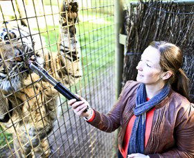 Taronga Western Plains Zoo, Dubbo - Accommodation Gladstone 3