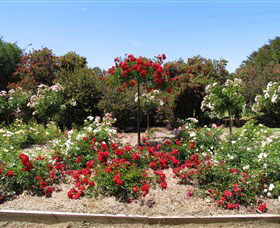 Barooga Botanical Gardens - Accommodation Gladstone 2
