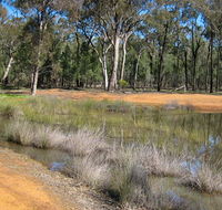 Beni State Conservation Area - Accommodation Gladstone