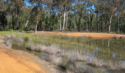 Beni State Conservation Area - Accommodation Gladstone 0