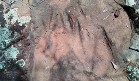 Beni State Conservation Area - Accommodation Gladstone 1