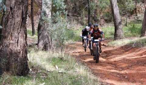 Beni State Conservation Area - Accommodation Gladstone 2
