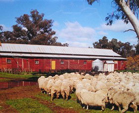 Savernake Day Tours - Accommodation Gladstone 1