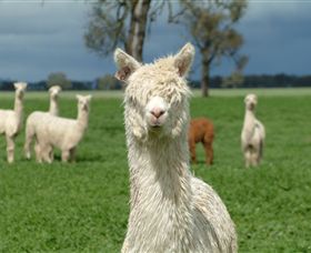 Creswick Woollen Mills - Accommodation Gladstone 1