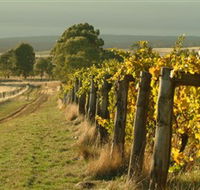 Captains Creek Organic Wines - Accommodation Gladstone