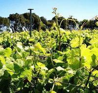 Basalt Wines - Accommodation Gladstone