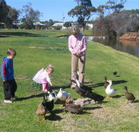 Roy Little Park Merredin - Accommodation Gladstone