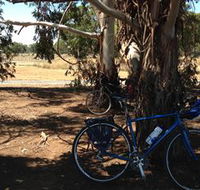 Murchison Rail Trail - Accommodation Gladstone