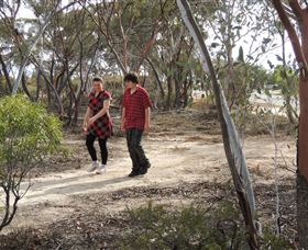 Tamma Parkland - Accommodation Gladstone 0