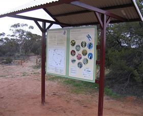 Tamma Parkland - Accommodation Gladstone 2