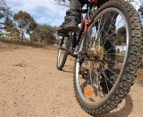 Tamma Parkland - Accommodation Gladstone 1