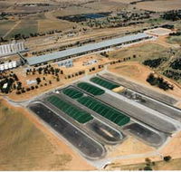 Co-operative Bulk Handling CBH Wheat Storage and Transfer Depot - Accommodation Gladstone