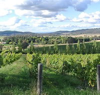 Sassy Wines - Accommodation Gladstone