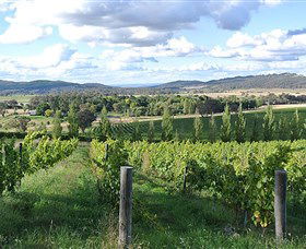 Sassy Wines - Accommodation Gladstone 0