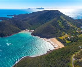Birdwatching On Keswick Island - Accommodation Gladstone 1