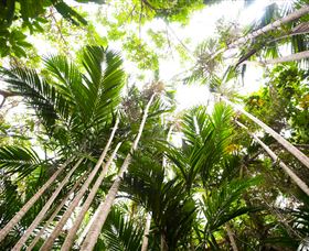 Bushwalking On Keswick Island - Accommodation Gladstone 1