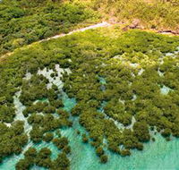 The Singapore Shipwreck Dive Site - Keswick Island - Accommodation Gladstone