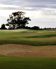 Black Bull Golf Club - Accommodation Gladstone 0