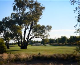 Black Bull Golf Club - Accommodation Gladstone 2