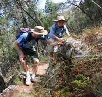 Mount Arthur Reserve - Accommodation Gladstone
