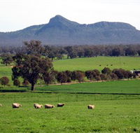 The Rock Nature Reserve - Accommodation Gladstone