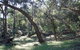 Mount Nangar Walking Track - thumb 1