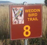 Weddin Bird Trails - Accommodation Gladstone