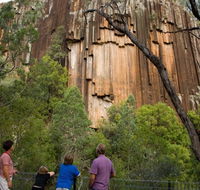 Sawn Rocks walking track - Accommodation Gladstone