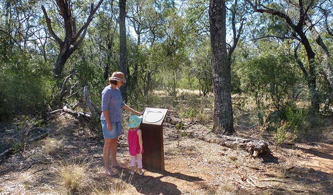 Deriah Aboriginal Information Bay - Accommodation Gladstone 1