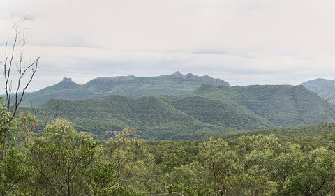 Deriah Aboriginal Information Bay - Accommodation Gladstone 3
